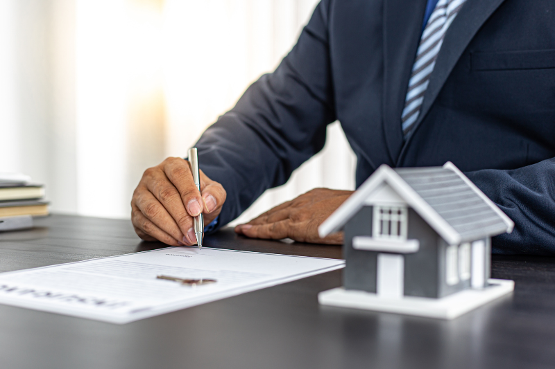 Overseas investor reviewing financial reporting obligations in New Zealand