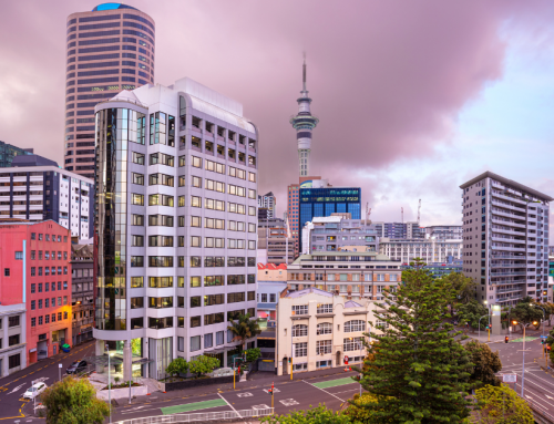 How Auckland businesses are supported by BIDs