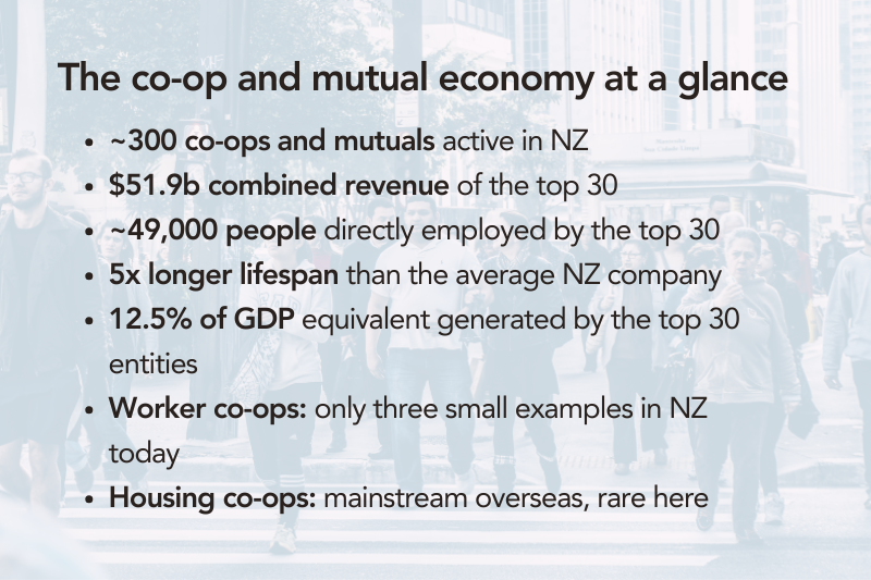 Infographic titled “The co-op and mutual economy at a glance”. It shows that around 300 co-operatives and mutuals operate in New Zealand. The top 30 generate $51.9 billion in combined revenue, employ about 49,000 people, and account for the equivalent of 12.5 percent of GDP. These organisations last five times longer than the average New Zealand company. Worker co-operatives are rare, with only three small examples, while housing co-operatives are common overseas but uncommon in New Zealand.