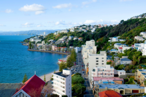 View from the hills over Wellington’s waterfront and surrounding residential and commercial properties.